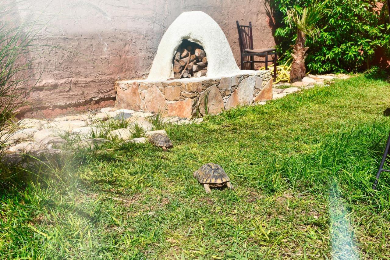 Route De Miel Apartment Agadir Exterior photo